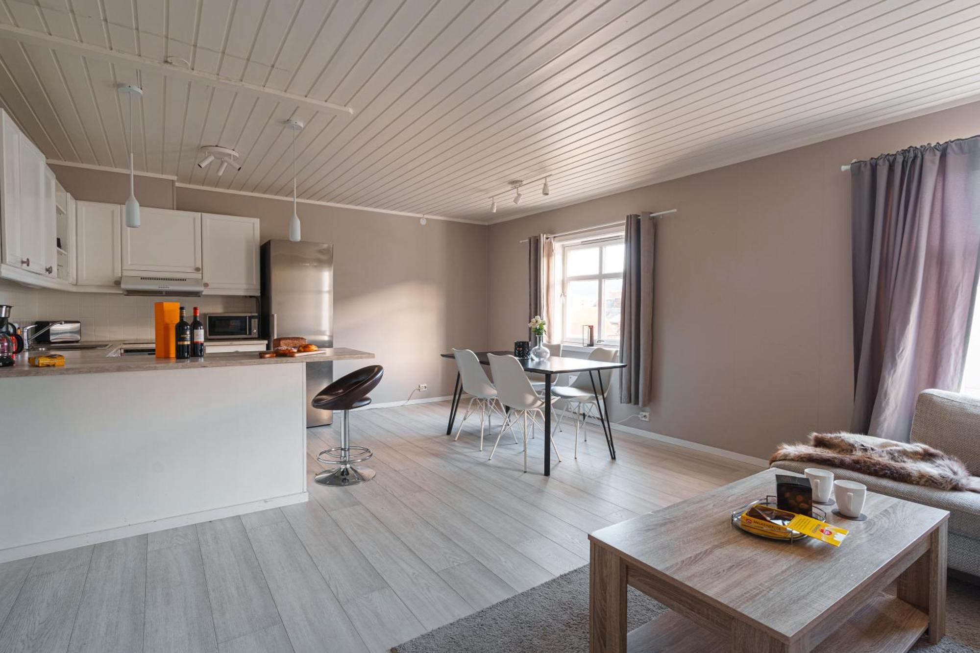 2 And 3 Rooms Apartments 트롬쇠 외부 사진